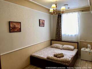Мини-отель Kharkovlux Харьков Стандартный двухместный номер с 1 кроватью-15